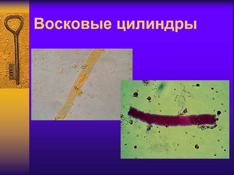 Восковые цилиндры